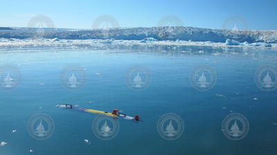 A REMUS 100 "ICEBOT" a the surface of a Greenland fjord.