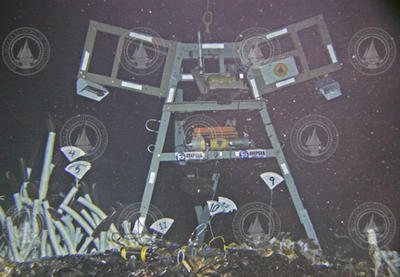 The RatCam on the ocean floor