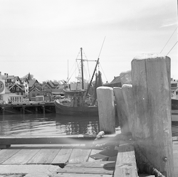 Piles and fishing boat at Sam Cahoon dock.