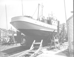 Balanus at the shipyard