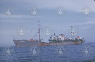 Albatross III at sea