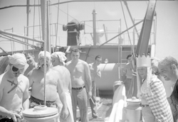 People on deck of Albatross.