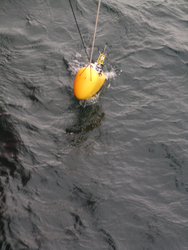 Retrieval of the moored profiler.