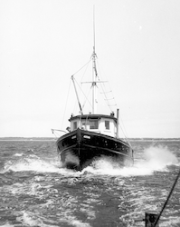 Asterias, bow view, taken from another ship