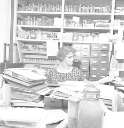 Mary Sears working in her office.