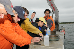 Hovey Clifford and George Hampson showing students how to sieve samples.