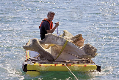 IFAW intern Nate DiMartino piloting a skiff loaded with Right Whale skull bones.