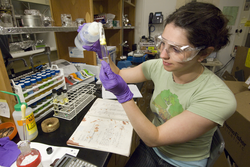 Ellen Murphy works with plastic samples found in the ocean.