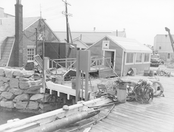 Hurricane Carol damage to WHOI dock area.