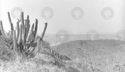 View of warships in harbor, from hill