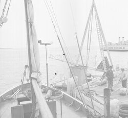 Euphausia Raft at WHOI dock next to Anton Dohrn.