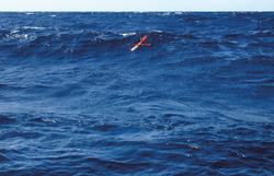 Spray glider  climbing a wave on the sea surface.
