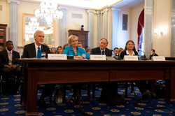 The Witness Panel at the Senate subcommittee hearing. Names below.