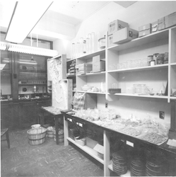 Bigelow Lab