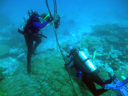 Konrad Hughen and Colleen Hansel core into a Porites lobata coral colony.