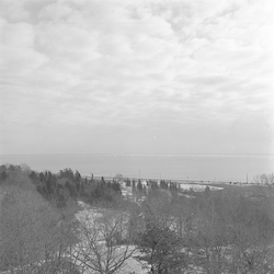 Ice floe on Vineyard Sound seen from Clark Lab.