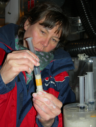 Joan Bernhard retrieving samples from a core in the cold lab.