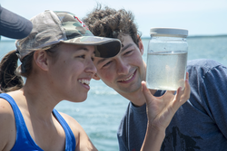 Maya Chung and David Brinkley examine plankton just collected in the bay.