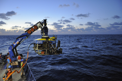 ROV Jason 2014 deployment during Dive & Discovery 15.