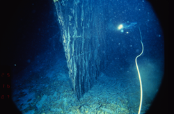 ROV Jason Jr. exploring the bow of the wreck of HMS Titanic.