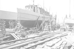 Balanus in shipyard, bow view