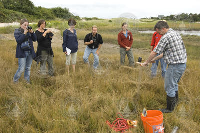Jeff Donnelly demonstrates mud coring at Woodneck beach in Falmouth.