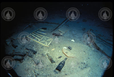 Wine bottles and other debris at the Titanic wreck site.