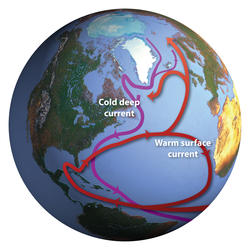 North Atlantic currents on a globe.