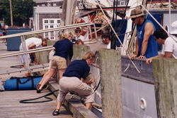 Departure of the 2002 MIT-WHOI Joint Program SEA cruise.