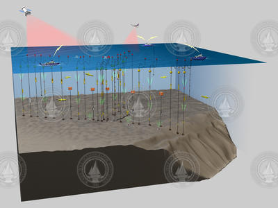 3D illustration of the Shallow Water Experiment mooring array.