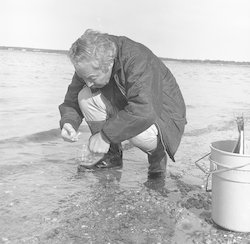 Collecting samples after oil spill.