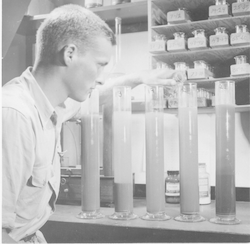 Man working at a lab bench in Bigelow Lab.