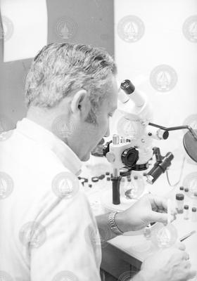 Howard Sanders at work in Biology laboratory