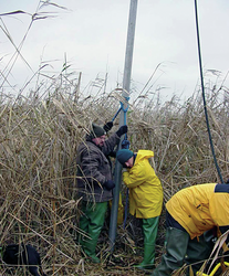Liviu Giosan and colleagues extracting a sediment core from a marsh in the Danube Delta.