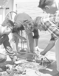 Frederick Hess (plaid shirt) and others examine dredge contents during Thresher search.