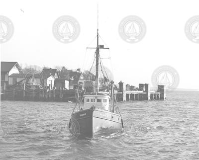 Bow view of the Reliance coming into the WHOI dock.