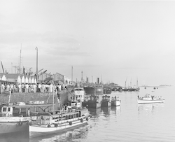 View of the port in Columbo, Ceylon