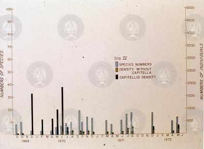 Species density plotted after the West Falmouth oil spill.