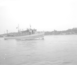 Full view of Balanus in Woods Hole harbor