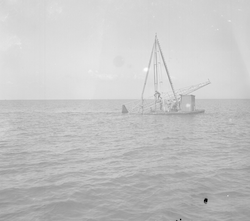 Euphausia Raft with tower out in Great Harbor.