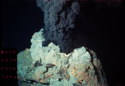 A billowing black smoker at "Snake Pit" hydrothermal vent field.