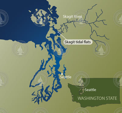 Map showing the location of Skagit tidal flats.