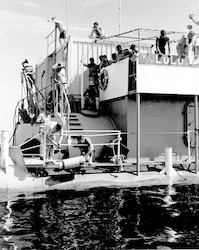 Group working aboard Lulu, possibly a pinger going over the side