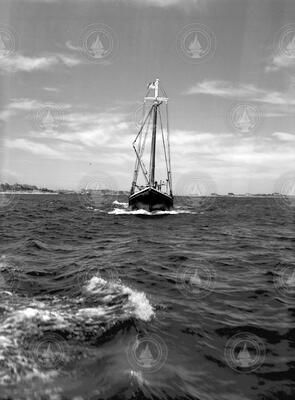 Full bow view of schooner Reliance transiting under motor power.