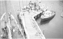 Atlantis, Asterias and Anton Dohrn at WHOI dock.