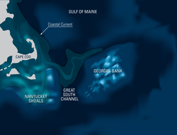 Illustrated map showing coastal ocean current around Massachusetts.