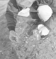 Collecting samples after oil spill.