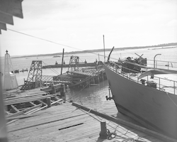 Hurricane damage to U.S. Fisheries.