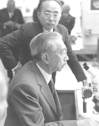 Visiting Emperor Hirohito at microscope with Susumu Honjo standing.