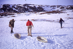 Sledding near Godthaab, Greenland; sleds were hydrophone covers